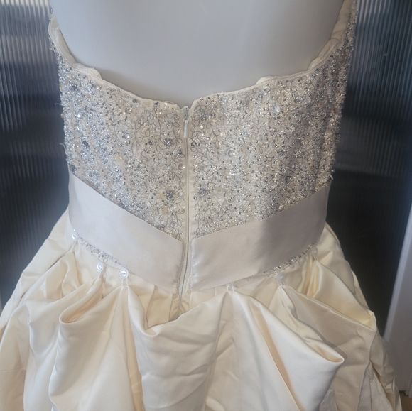 Strapless Beaded Champagne Wedding Gown - Picture 7 of 11